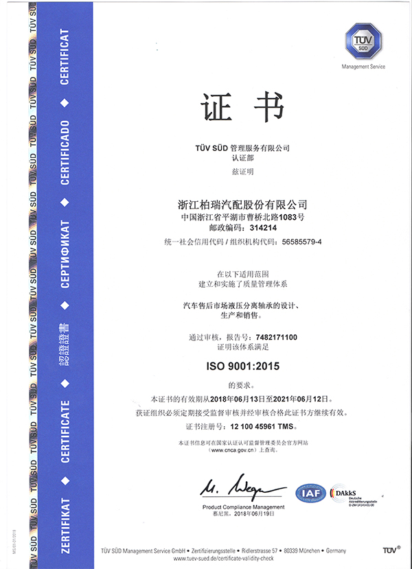 ISO 9001 中文